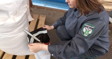 Ввоз подкарантинной продукции в Чувашию вырос в 1,4 раза