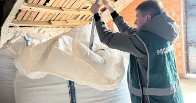 Экспорт зерна из Чувашии в январе вырос сразу в 14 раз