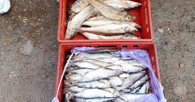 На рынках Чувашии выявили нарушения при продаже продуктов