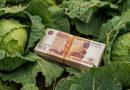 Кооперативам Чувашии распределят более 29 млн рублей субсидий
