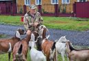 Житель Цивильского округа расширил хозяйство благодаря соцконтракту Житель Цивильского округа расширил хозяйство благодаря соцконтракту
